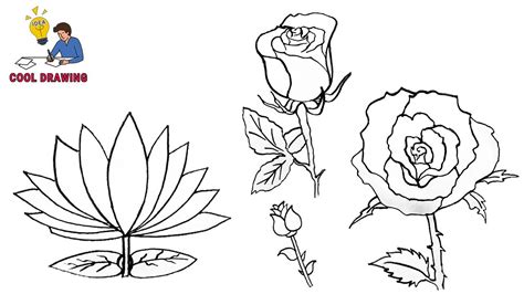 Easy Drawing Ideas For Beginners Flowers / It is so interesting & easy ...