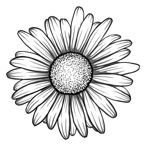 Daisy Tattoo Design Royalty-Free Images, Stock Photos & Pictures | Shutterstock