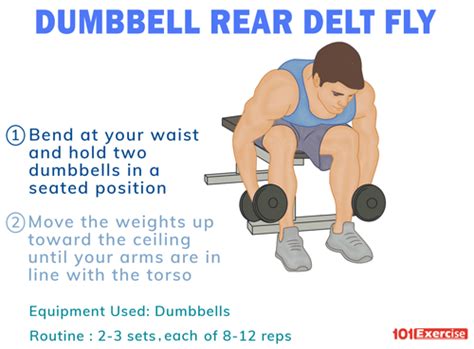 Dumbbell Rear Delt Fly | 101Exercise.com