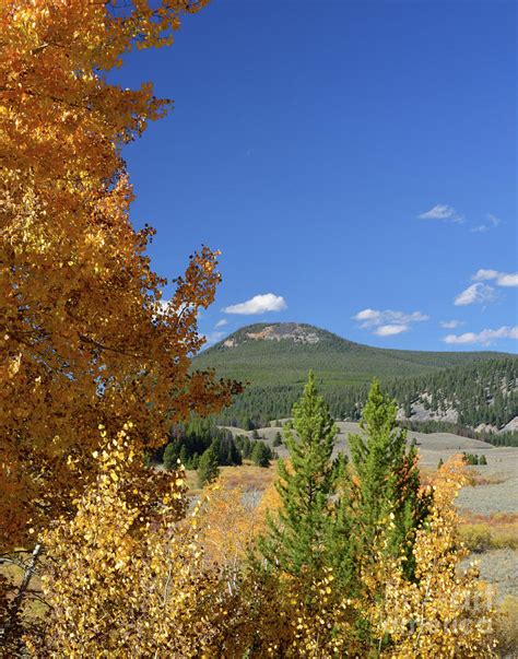 Selway Peak Photograph by Brad Christensen - Fine Art America