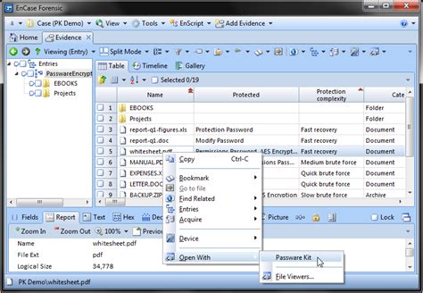 Using Passware Kit Forensic with Guidance Software EnCase