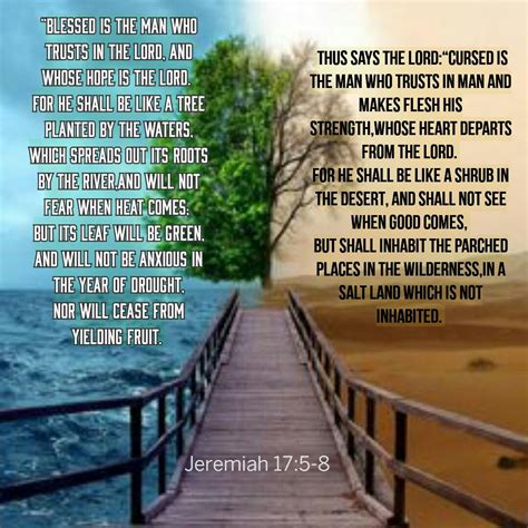 Jeremiah 17:5-8 | Biblical verses, Jeremiah, Favorite bible verses