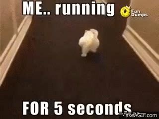 Fat cat running on Make a GIF