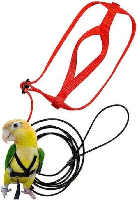 Amazon.co.uk: parrot harness