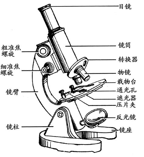 初中生物知识点：显微镜各部分的名称和作用_生物体结构层次_中考网