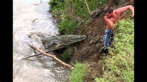 Crocodile Attacks Costa Rica - YouTube