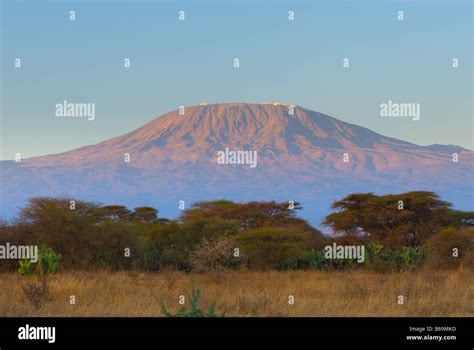 kilimanjaro mountain in the sunrise Stock Photo - Alamy