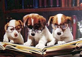 Belle's Bookshelf: Bookish Fun: Dogs Reading Books