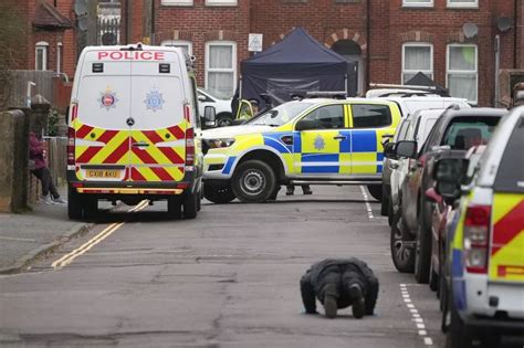 Crawley murder investigation sees fourth person arrested after teen ...