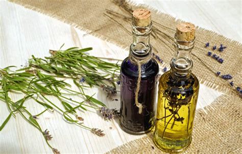 Free picture: herb, aromatherapy, oil, medicine, bottle, glass, table