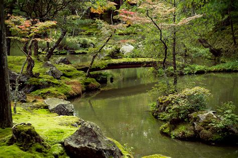 Local tells Top 7 Moss Temples and Moss Gardens in Kyoto! | 一期一会〜Ichigo ...