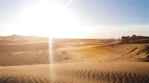 Sahara sand dunes and golden sun | Stock Video | Pond5