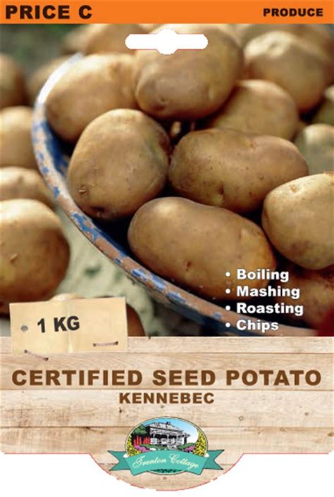 Trenton Cottage. CERTIFIED SEED POTATO - KENNEBEC