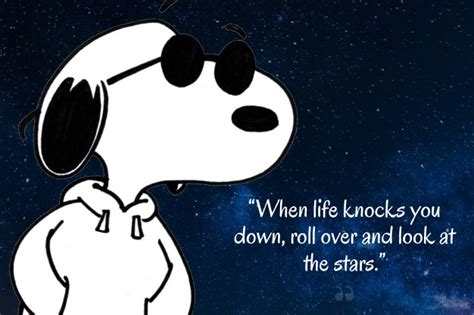 Best Uplifting Snoopy Quotes That Make Your Day