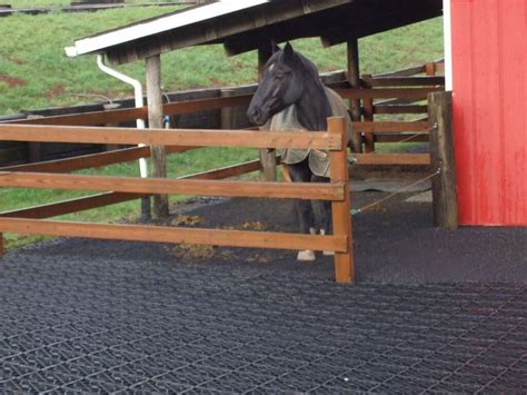 EcoGreenGrid eco greengrid mud control mats. This is the perfect barn flooring; the mats helps ...