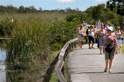 Florida's Everglades National Park an ecosystem in distress - Los ...