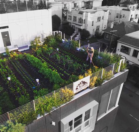 30 Best Rooftop Garden Ideas: Urban Gardens 2021 - EatHappyProject