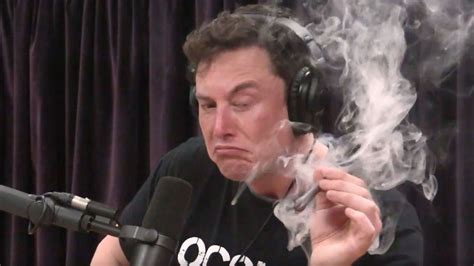 Elon Musk tells staff smoking weed with Joe Rogan was 'not wise' | Flipboard