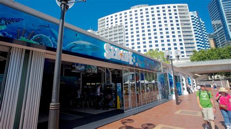 SEA LIFE Sydney Aquarium in Sydney Central Business District - Tours ...