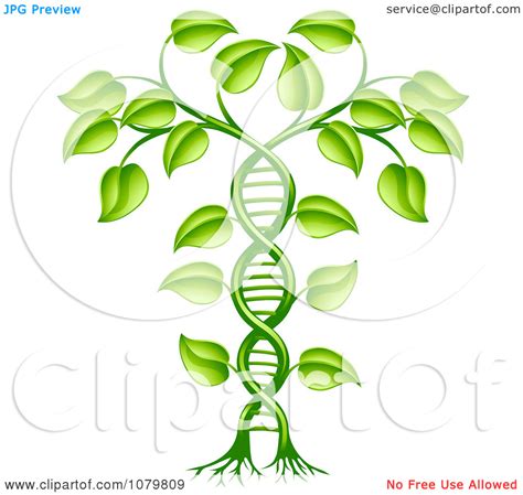 Genetics clipart 20 free Cliparts | Download images on Clipground 2024