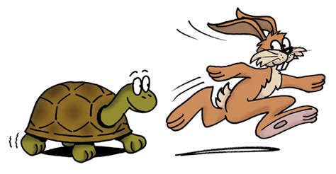 rabbit and tortoise clipart - Clipground