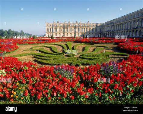 Versailles Flowers