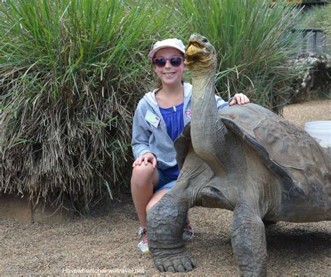 THE AUSTRALIAN REPTILE PARK - Have Wheelchair Will Travel