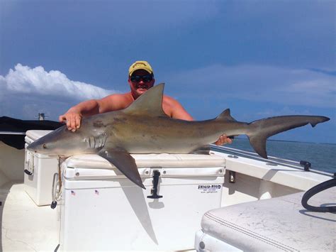 Captiva Fishing: Bull Shark! | Captiva Fishing Report