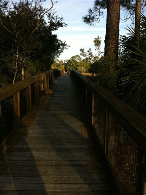 Fort Mose Historic State Park | State parks, Florida state parks, National parks