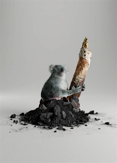 WWF - Australia on Behance