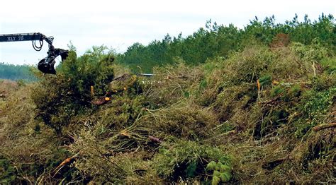 Storm Debris Recovery & Processing - BioCycle BioCycle