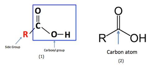 Carboxylic Acid | Structure, Formula & Formation - Lesson | Study.com