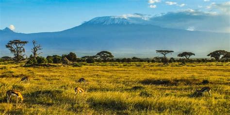 Clima de la Sabana:lugares, temperaturas, clasificación - El tiempo hoy