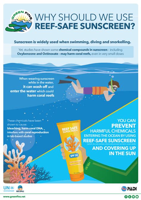 Reef Safe Sunscreen 120ml SPF 50 | lupon.gov.ph