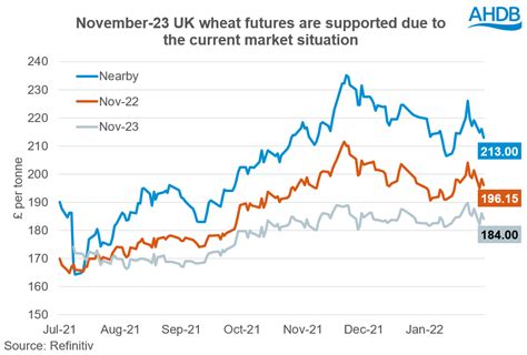 Analyst insight: Opportunity to market 2023 wheat? | AHDB