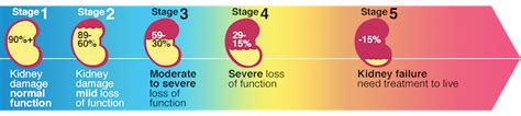 Learn About Kidney Disease | Milwaukee Nephrologists