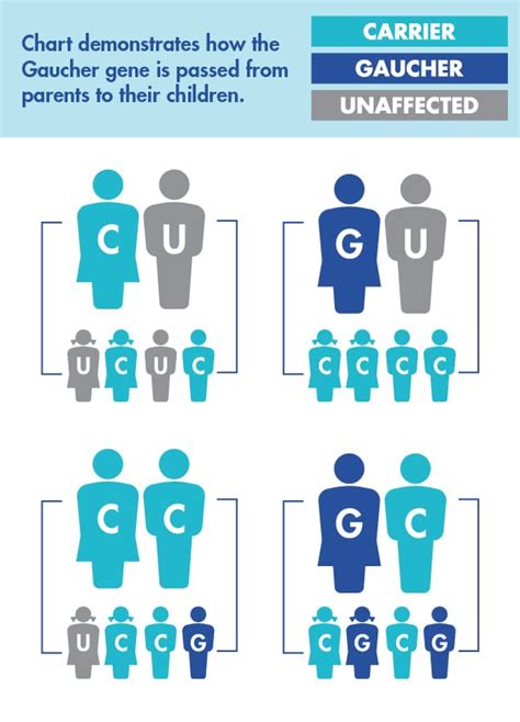 Jewish & Ashkenazi Genetic Disease Testing | National Gaucher Foundation