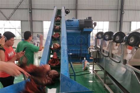 Coconut Fibre Extraction Machine, Cocopeat Machine, Coir Fiber Making Machine