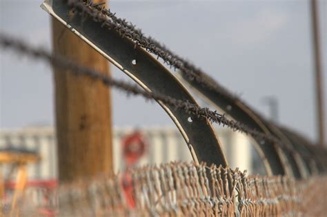 Free Images : branch, sharp, fence, barbed wire, chain, steel, rust, construction, pattern, line ...