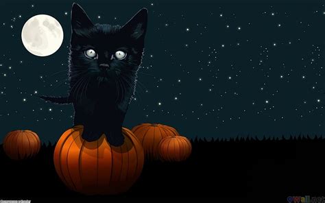 BLACK CAT ON A PUMPKIN, black, kitten, orange, pumpkin, HD wallpaper | Peakpx