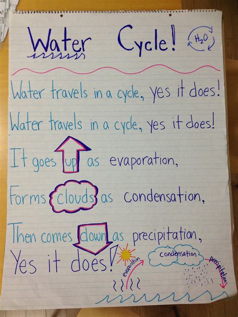 Water cycle song inspired from Pinterest! | Water cycle, 5th grade science, 1st grade science