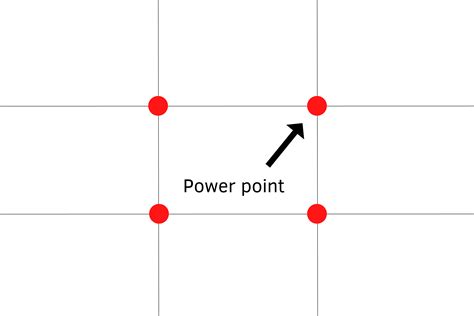 A Beginner's Guide to the Rule of Thirds for Photography — APC Wildlife ...