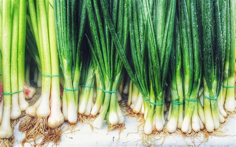 Chives vs Scallions vs Green Onions: What's the Difference?