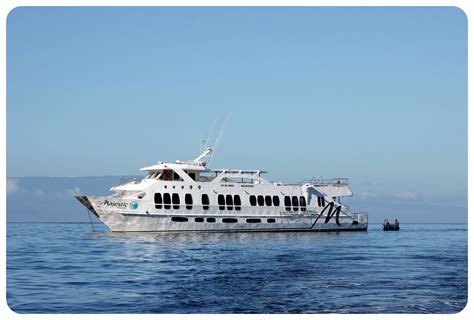 My Galapagos Islands Cruise: A Travel Dream Come True