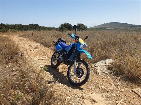 Official Yamaha DT200 thread | Page 8 | Adventure Rider