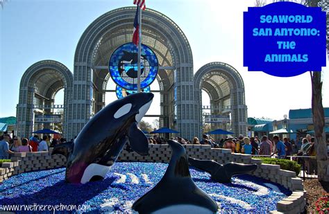 SeaWorld San Antonio ~ The Animals - R We There Yet Mom?