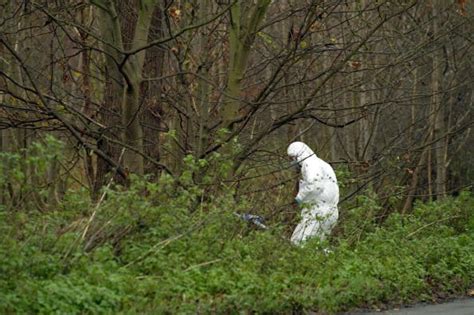 Australia's first body farm aims to answer forensic questions - ABC listen