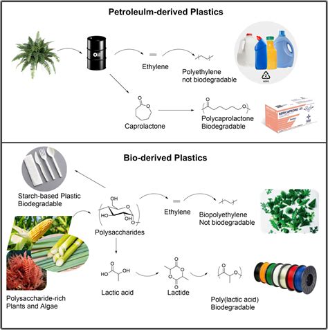 Biodegradable, Bioplastics and Green Plastics, What’s the Difference ...