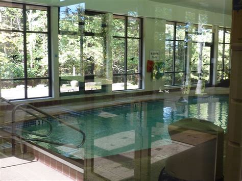 Blackwater Falls State Park Lodge Pool: Pictures & Reviews - Tripadvisor