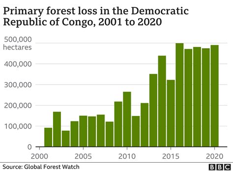 Deforestation: Which countries are still cutting down trees? - BBC News